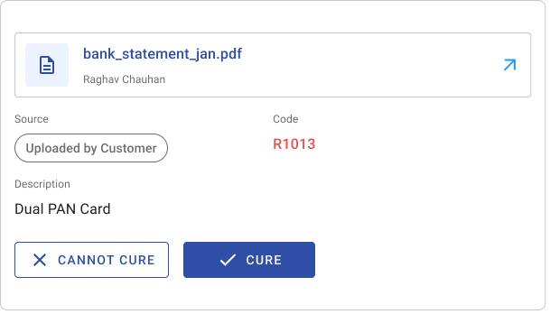 Document card for bank_statement_jan.pdf, Dual PAN Card, with Cannot Cure and Cure actions